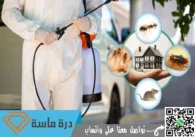 شركة مكافحة الحشرات بخميس مشيط | 0593428144 | إبادة شاملة