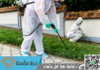 شركة مكافحة الحشرات بخميس مشيط | 0593428144 | إبادة شاملة