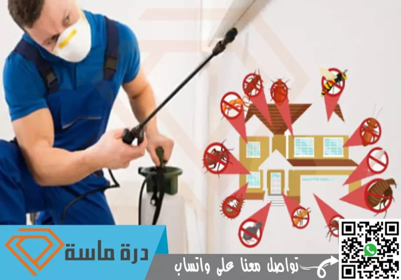 شركة مكافحة حشرات بسراة عبيدة | 0593428144 | ابادة حشرات بخصم 30%