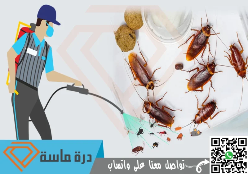 شركة مكافحة صراصير بابها | 0593428144 | مبيدات حشرية