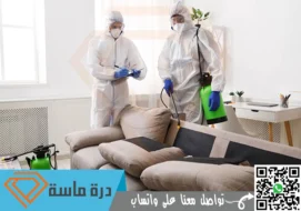 شركة مكافحة حشرات بالواديين | 0593428144 | رش مبيدات