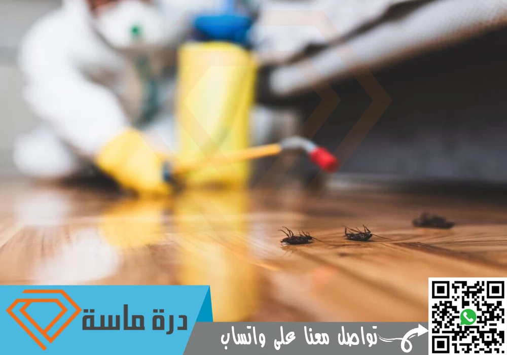 شركة مكافحة حشرات بالواديين | 0593428144 | رش مبيدات 2 شركة مكافحة حشرات بالواديين