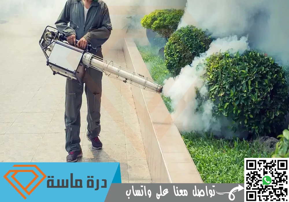شركة مكافحة حشرات بابها 🦎🐜🦗 | 0593428144 | بالضمان الفعلي 59 anti pigeon company in 2