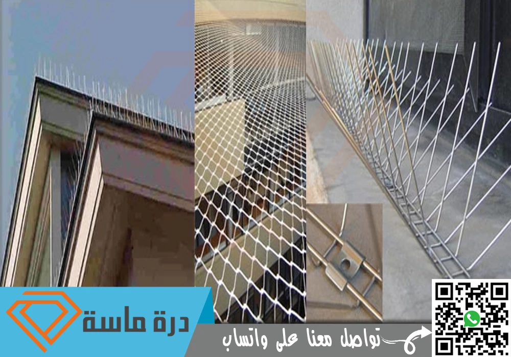 افضل شركة مكافحة حمام بأبها