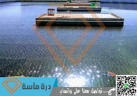 شركة عزل اسطح بابها | 0593428144 | عزل فوم