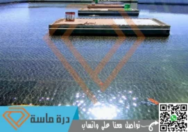 شركة عزل اسطح بخميس مشيط | 0593428144 | عزل مائي وحراري