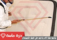 شركة مكافحة بق الفراش بخميس مشيط | 0593428144 | إبادة البق