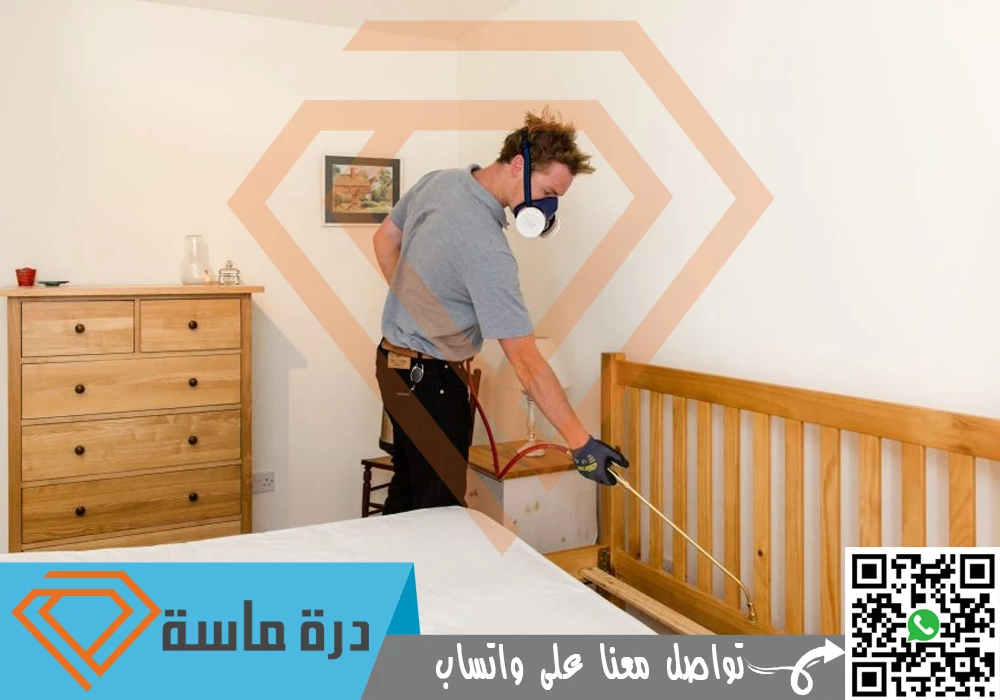 شركة مكافحة بق الفراش بخميس مشيط 🐞 | 0593428144 | إبادة البق 57 Bed bug control in Abha 01