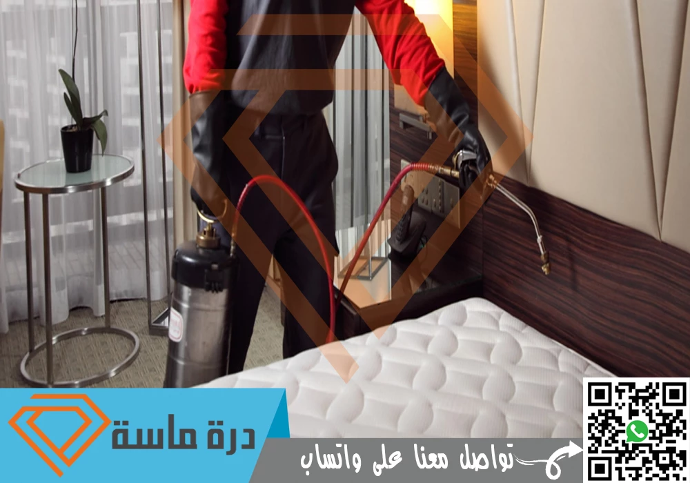 شركة مكافحة بق الفراش بخميس مشيط 🐞 | 0593428144 | إبادة البق 56 Bed bug control in Abha 02