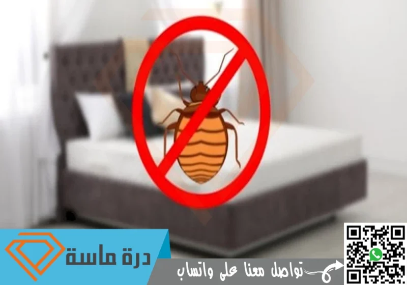 شركة مكافحة بق الفراش بخميس مشيط | 0593428144 | إبادة البق