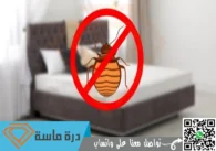 شركة مكافحة بق الفراش بخميس مشيط | 0593428144 | إبادة البق