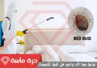 شركة مكافحة الحشرات بخميس مشيط | 0593428144 | إبادة شاملة