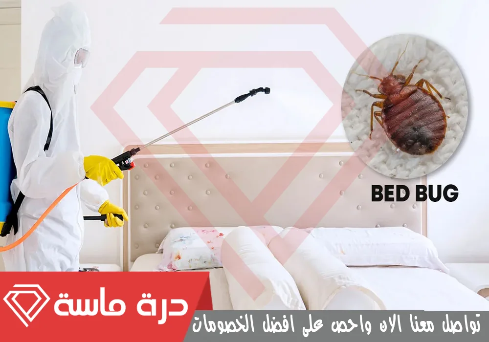 شركة مكافحة بق الفراش بخميس مشيط 🐞 | 0593428144 | إبادة البق 65 Bed bug pest control company