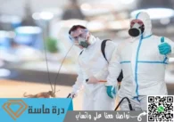 شركة مكافحة الحشرات بخميس مشيط | 0593428144 | إبادة شاملة