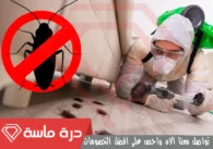 شركة مكافحة الحشرات بخميس مشيط | 0593428144 | إبادة شاملة