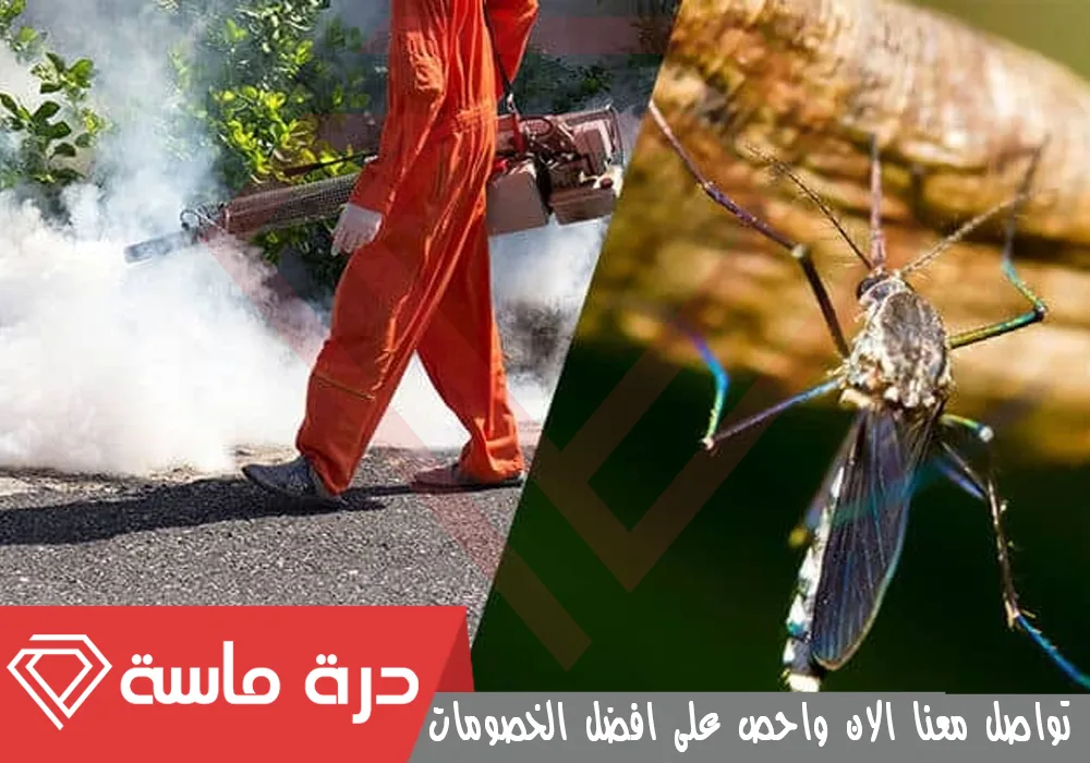 Mosquito pest control company