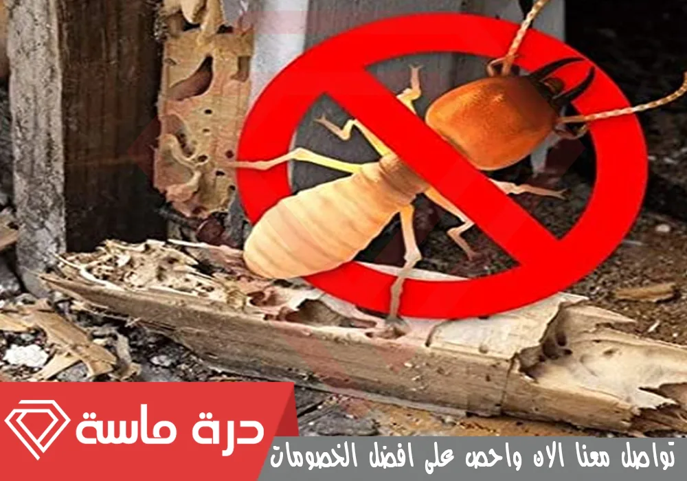 Termite pest control company