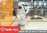 شركة مكافحة الحشرات بخميس مشيط | 0593428144 | إبادة شاملة