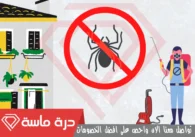 شركة مكافحة حشرات بابها | 0593428144 | بالضمان الفعلي