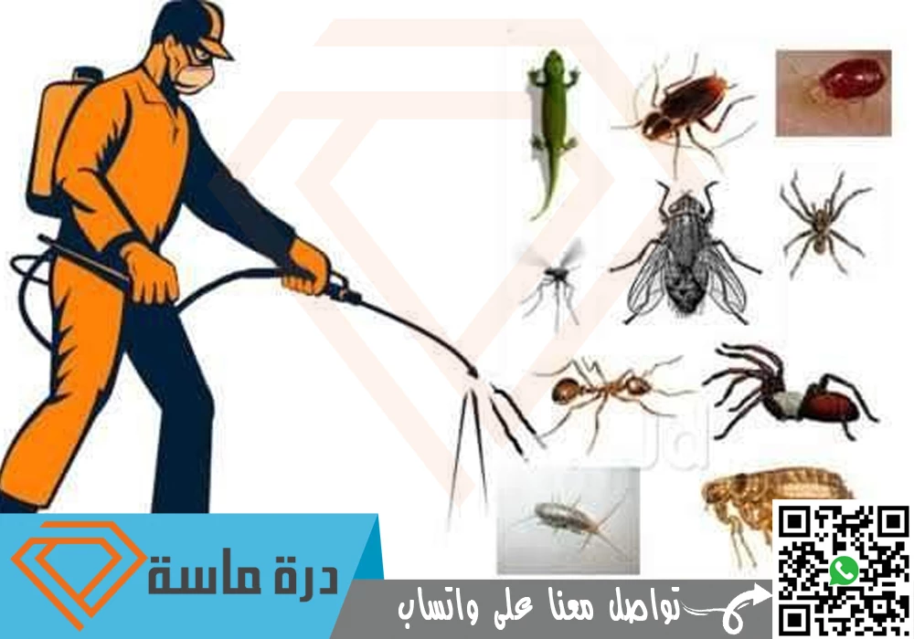 ارخص شركة مكافحة حشرات بابها