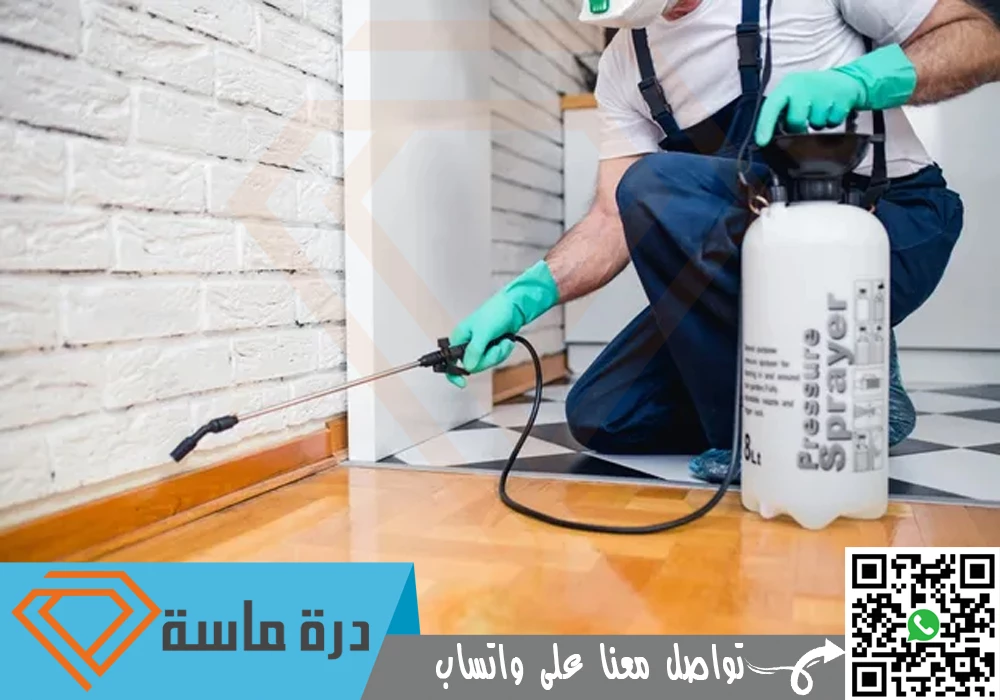 شركة مكافحة الحشرات بخميس مشيط