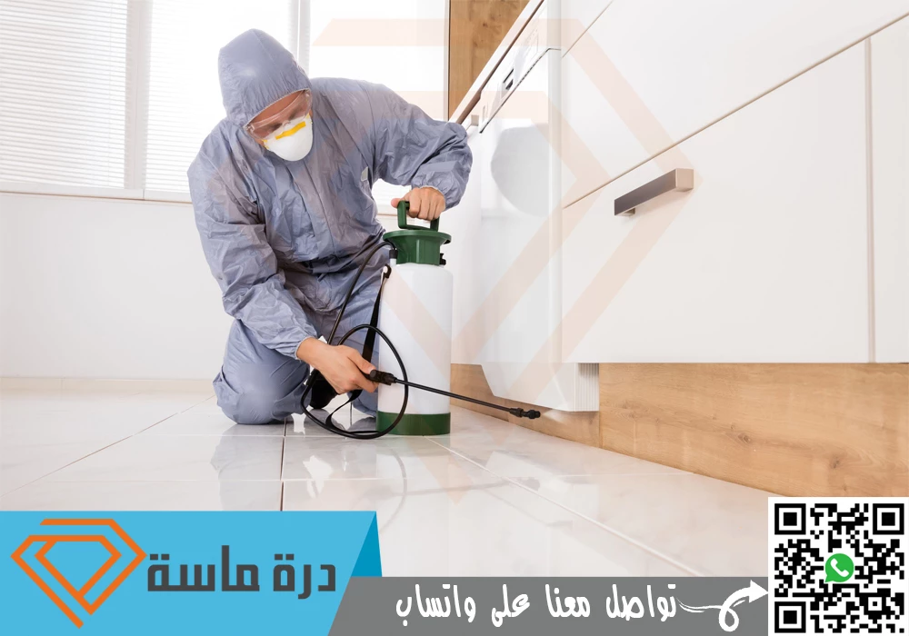 افضل شركة مكافحة حشرات بخميس مشيط