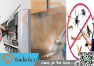 عقد مكافحة حشرات بخميس مشيط وابها | 0593428144 | مطاعم ومؤسسات